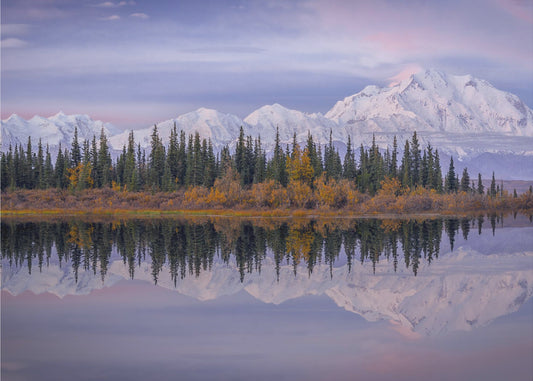 Denali Reflection | Poster