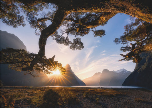 Sonniger Tag im Milford Sound | Poster