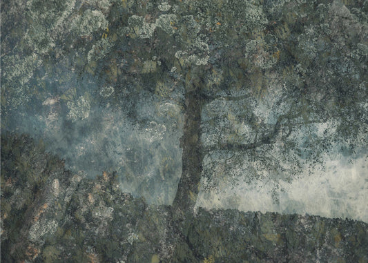 Felsen und ein Baum | Leinwand