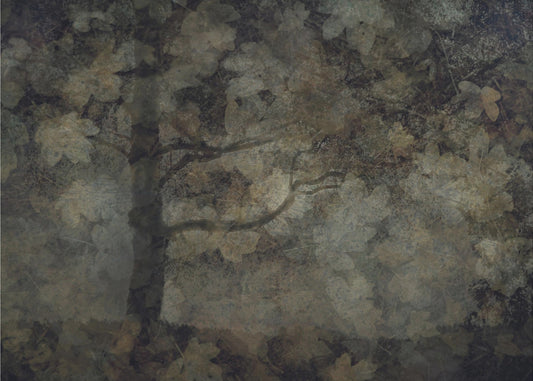 Dunkler Wald | Poster