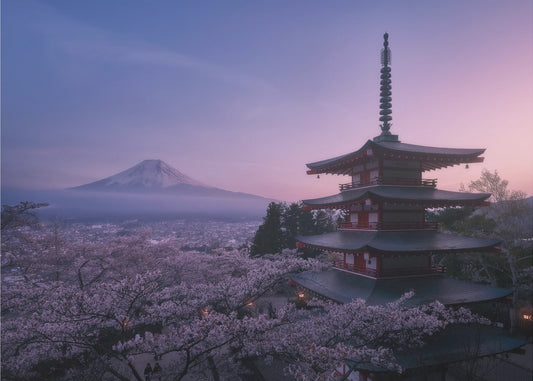 Fuji Sakura | Poster