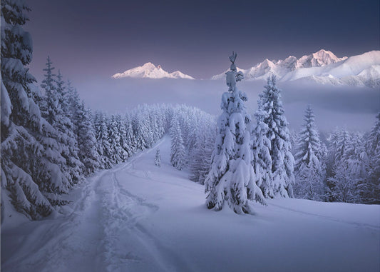 Im Winter | Leinwand