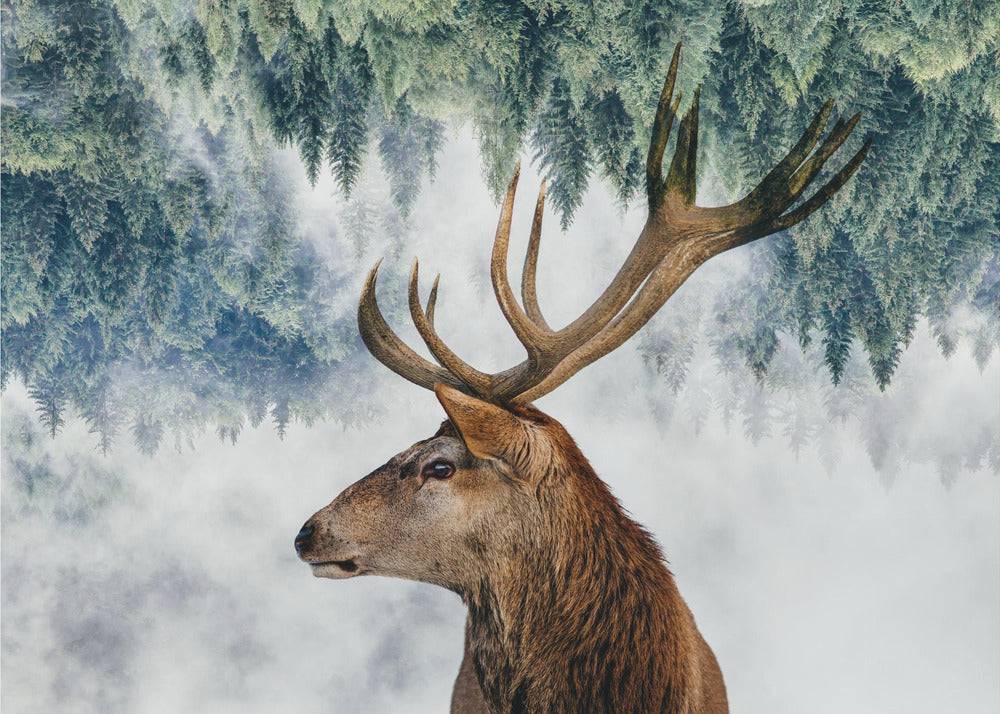 Der Hirsch und der Wald | Poster