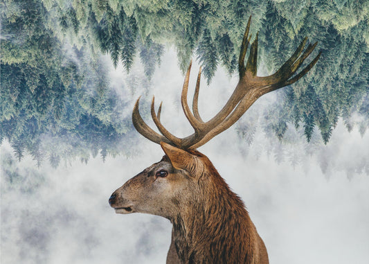Der Hirsch und der Wald | Poster