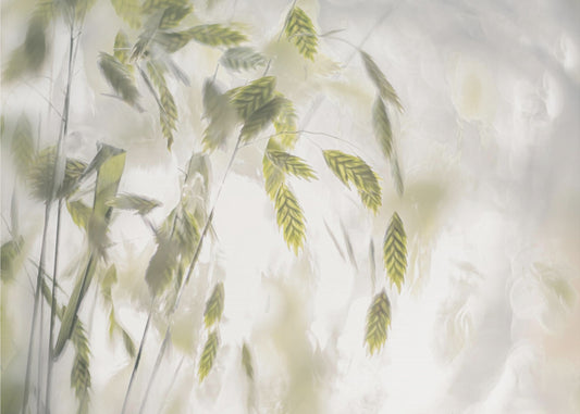 Grass blades | Poster
