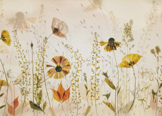 In the field... | Poster