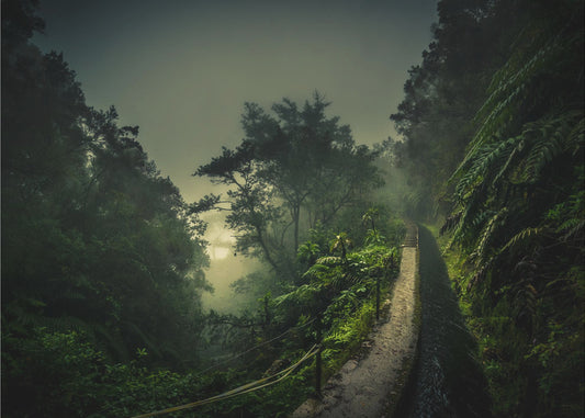 Levada-Wanderung | Poster