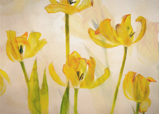 Blühende Tulpen | Leinwand
