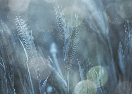 Fantastische Natur | Poster