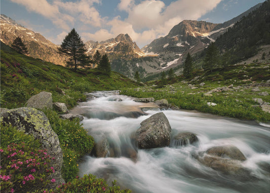 Seealpenpark | Leinwand