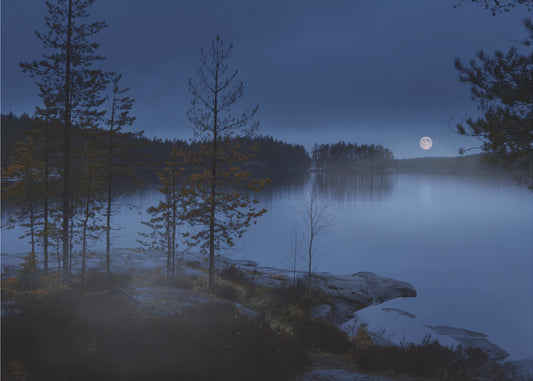 Nachtnebel | Tapete