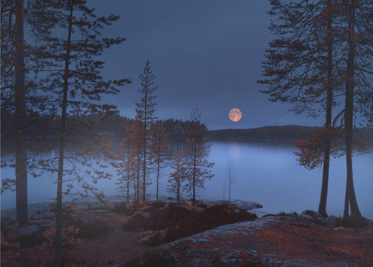 Roter Mond | Poster