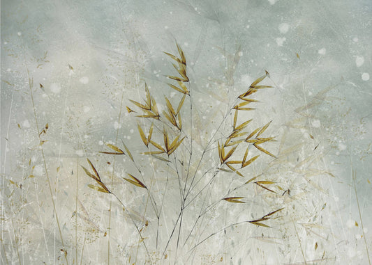 Wintertime | Poster