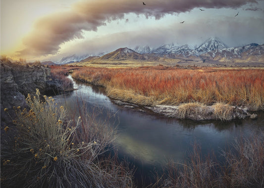 Owens River bei Sonnenaufgang | Poster