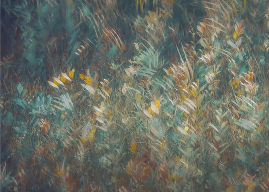 Late summer | Poster