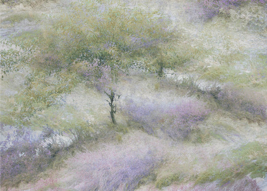 Flowering heather | Poster