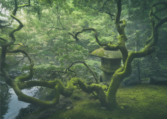 Japanese Tree | Poster
