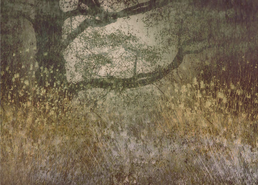 Autumn is coming | Poster