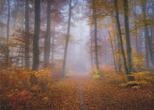 Oktoberpfad | Tapete