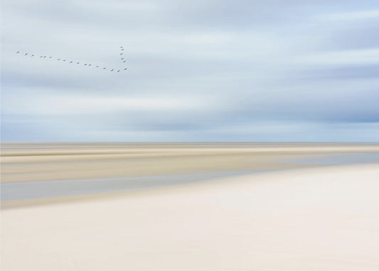am Meer III | Tapete