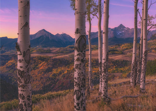 Aspen-Rahmen | Leinwand
