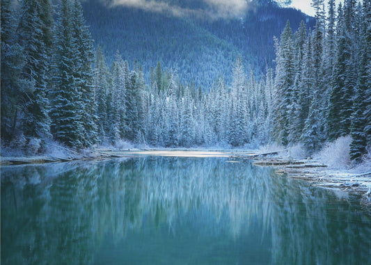 Wunder Winterland | Hintergrundbild