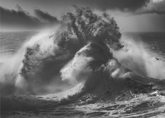POSEIDON MAJESTY (Teil 4) | Hintergrundbild