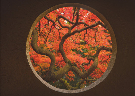 Autumn Sense | Poster