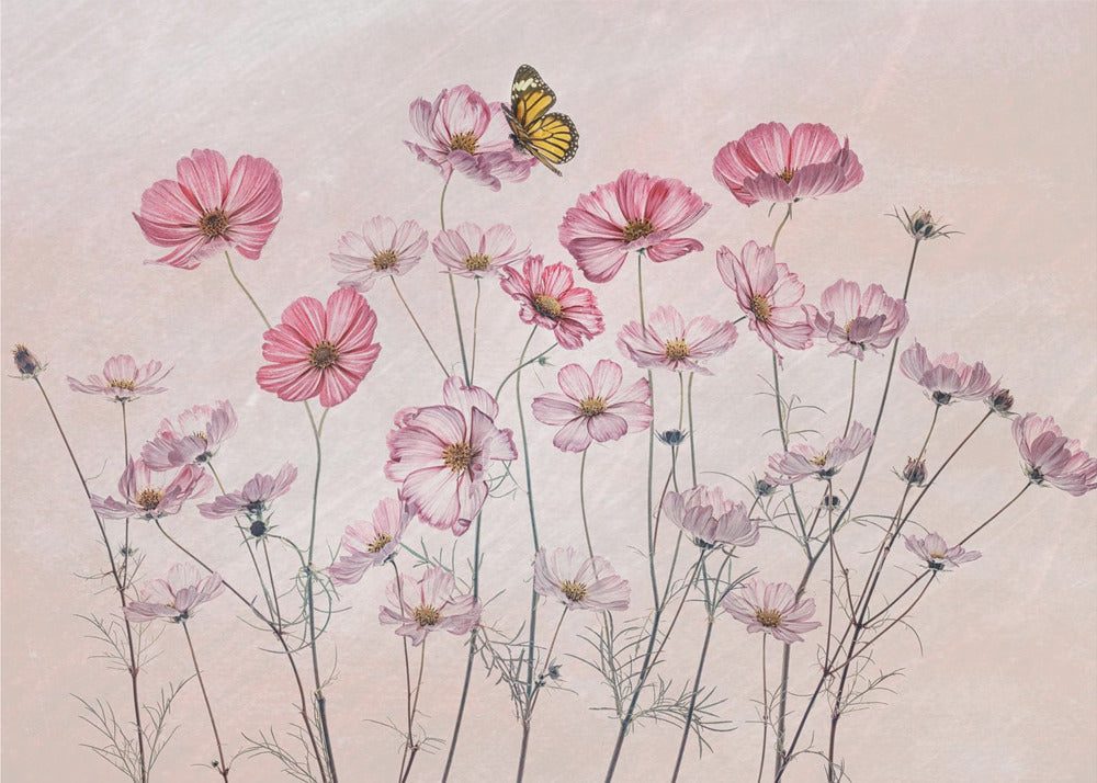 Kosmos und Schmetterling | Poster