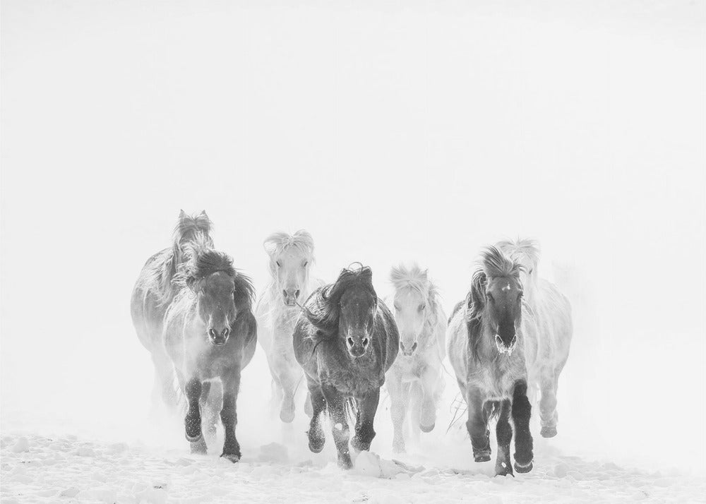 Laufen im Schnee | Hintergrundbild