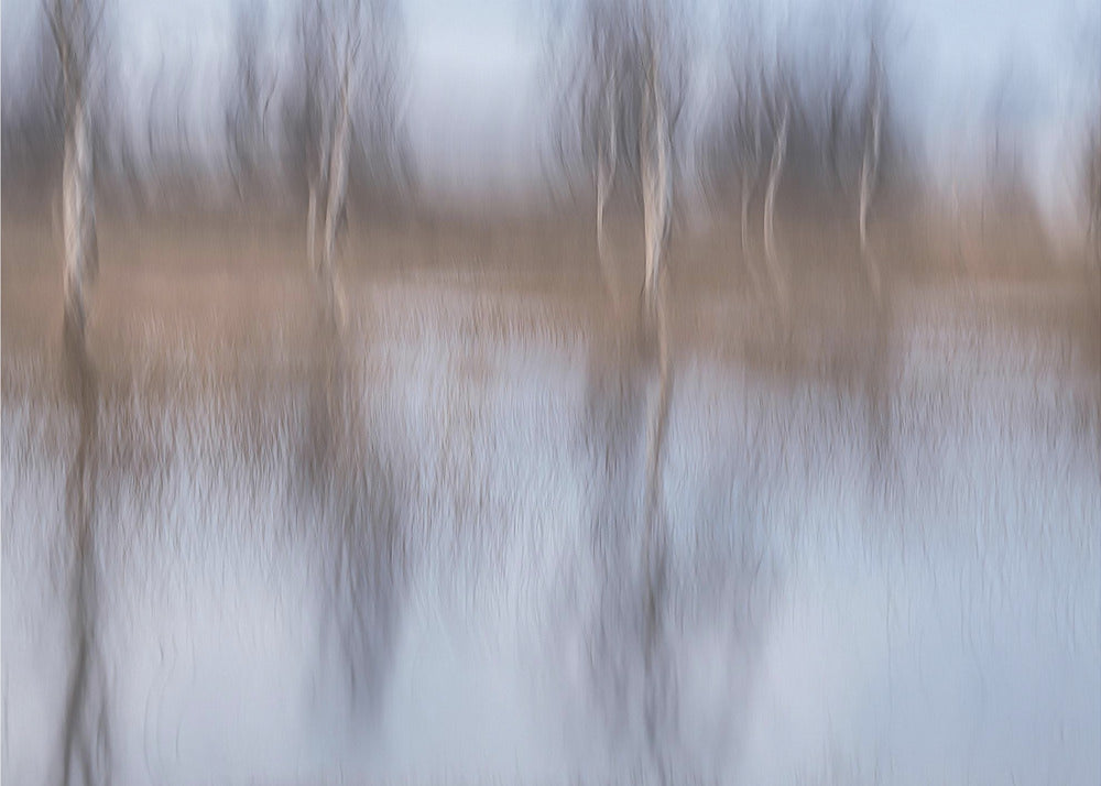 Nach dem Regen | Poster