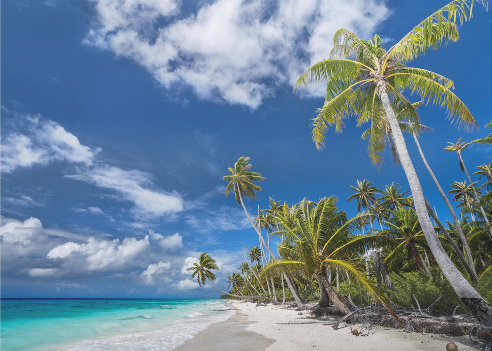 Einsame Insel | Leinwand