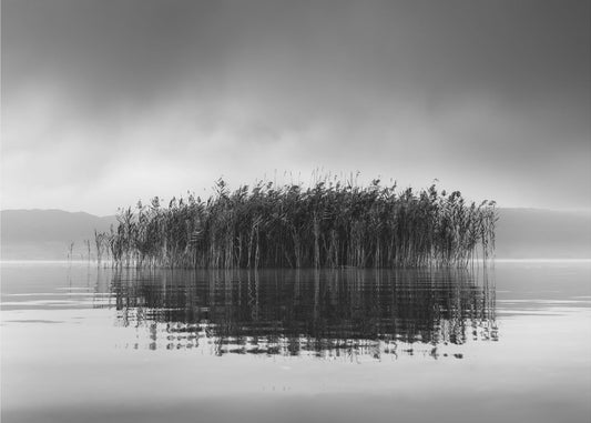Lake Volvi VII | Tapete