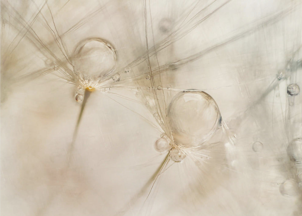 Aquarelle | Poster