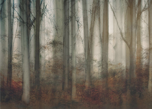 Herbstlicht | Poster