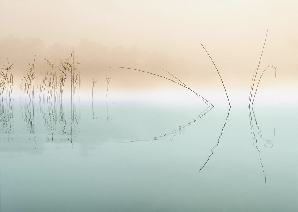 Stille | Poster