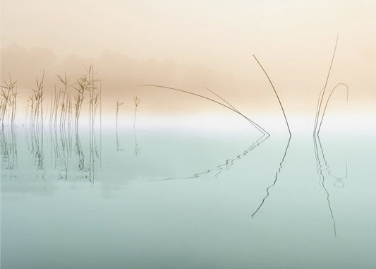 Stille | Tapete
