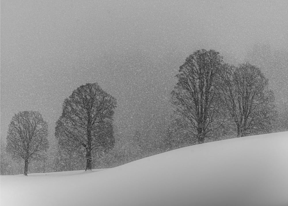 Schneewittchen | Tapete