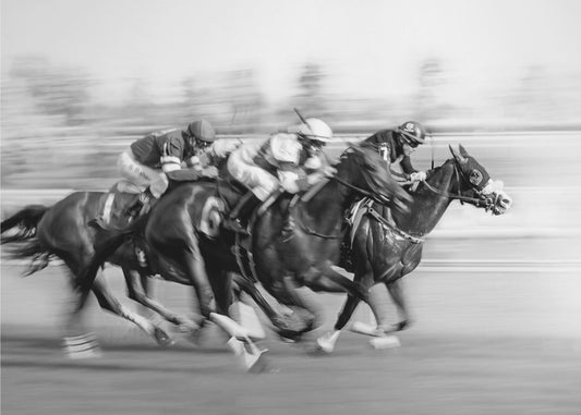 Pferderennen @ Queen's Plate | Hintergrundbild