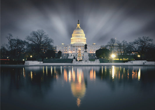 Capitol Hill | Tapete