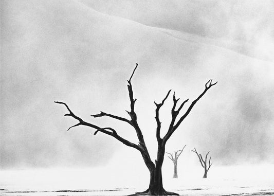 Namibia: Der Geist der Wildnis | Hintergrundbild