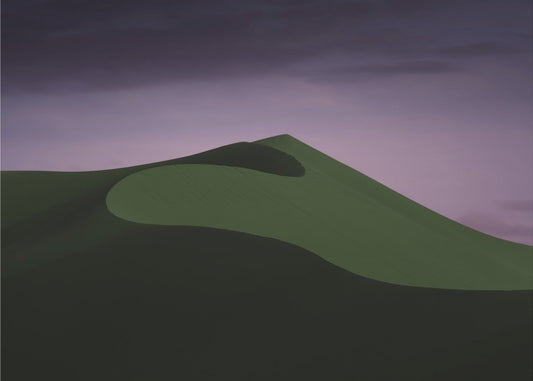绿洲 | Leinwand