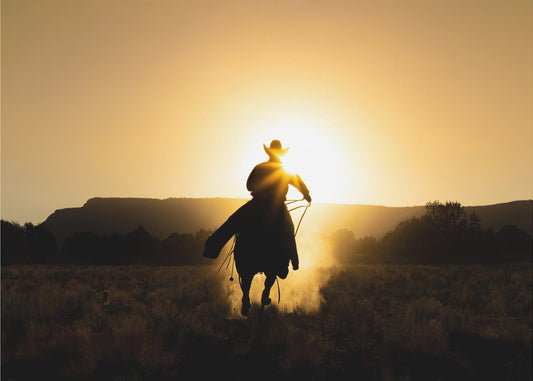 Der Cowboy | Leinwand