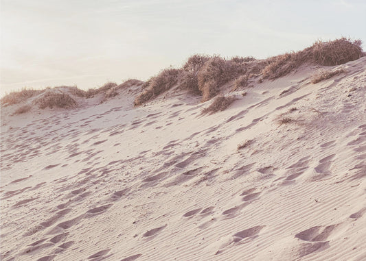 Strand_009 | Tapete