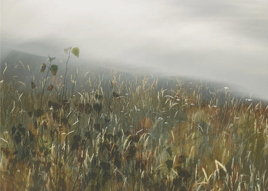 Im Feld | Poster