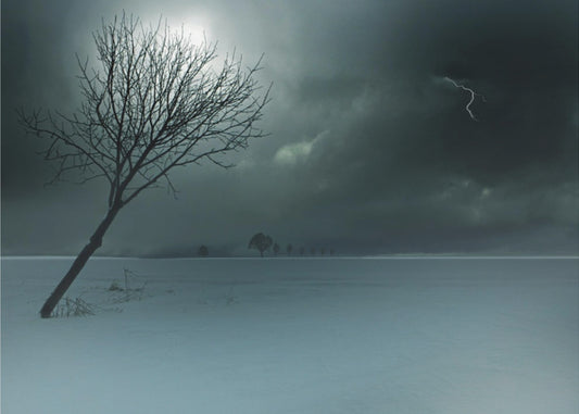 Wintergewitter | Leinwand