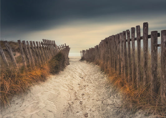 Der Weg, der zu dir führte | Hintergrundbild