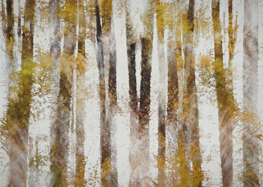 Buche im Herbst | Poster