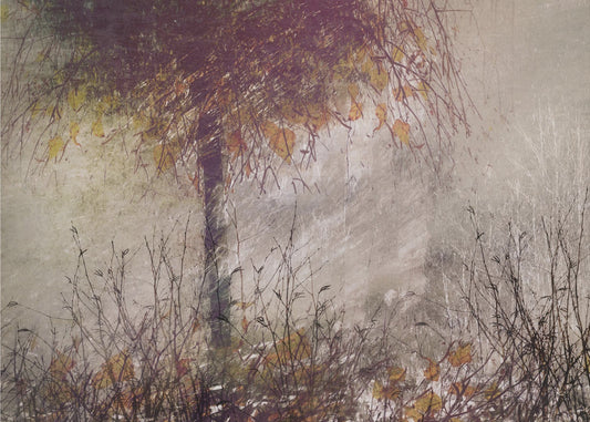 The birch | Poster