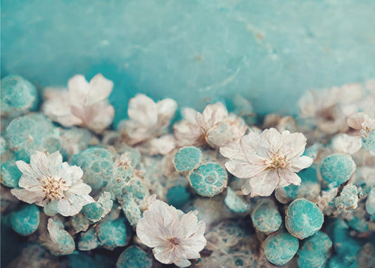 Aqua Blossom Dream | Tapete